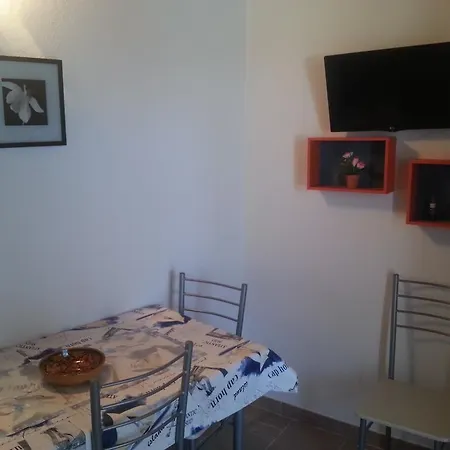 Vincenzina *